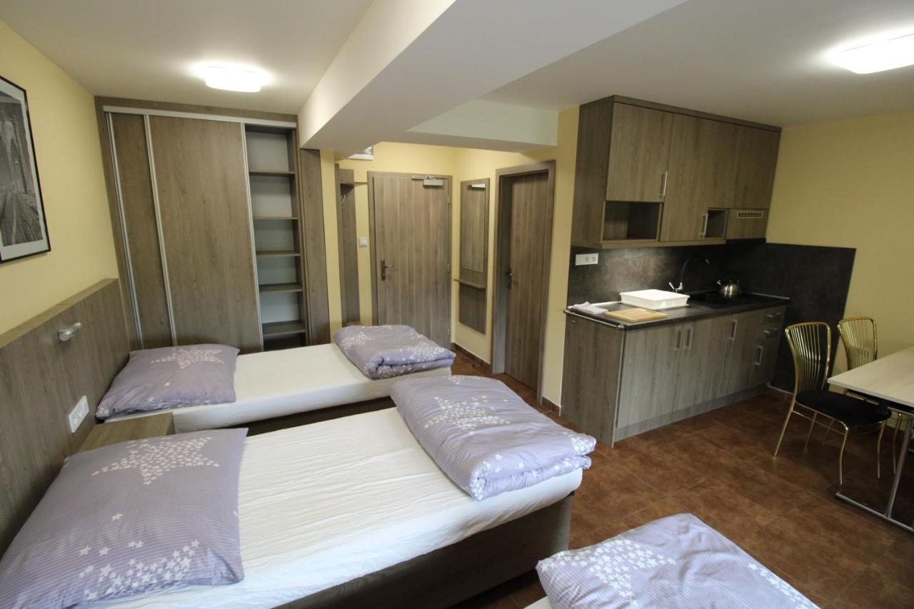 Borovec Hotel Sedlnice Kültér fotó