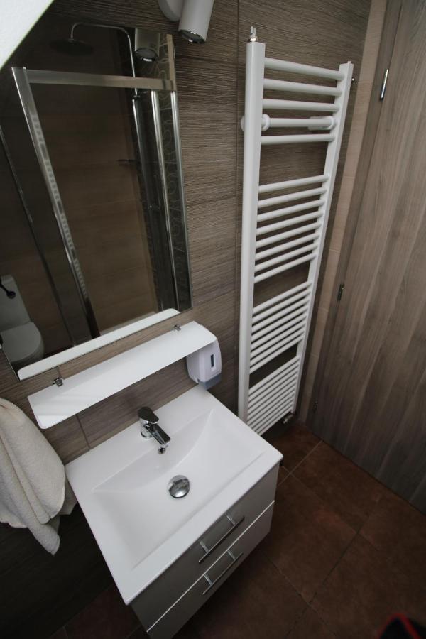 Borovec Hotel Sedlnice Kültér fotó